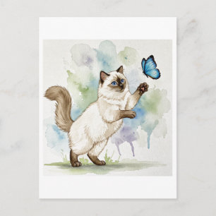 Tarjeta postal de gato blanco lindo mariposa ojos 