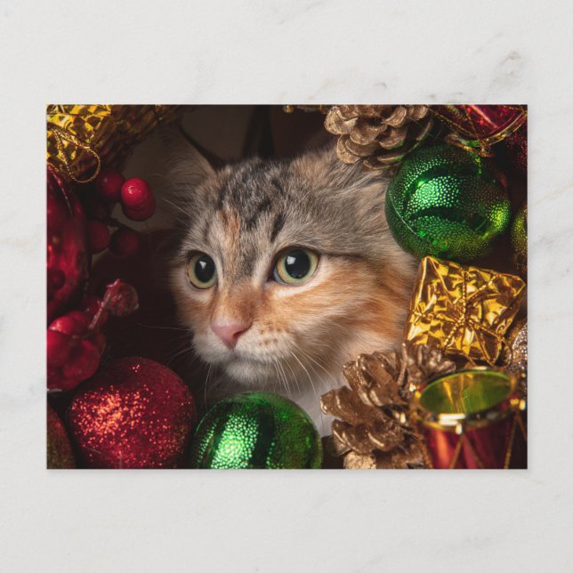 Tarjeta postal de gato con corona de Navidad (Anverso)