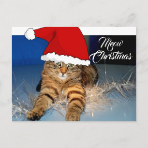 Tarjeta postal de gato de Navidad adorable con sal