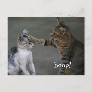 Tarjeta Postal de Gato Divertido Boop