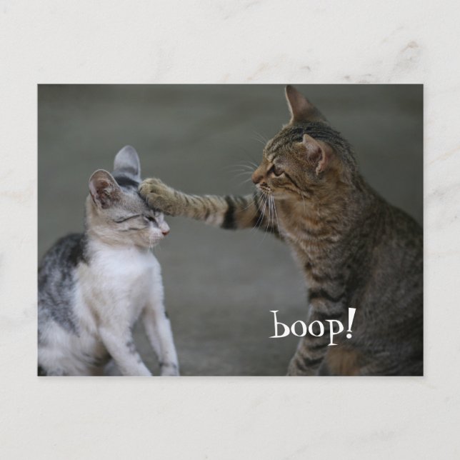 Tarjeta Postal de Gato Divertido Boop (Anverso)