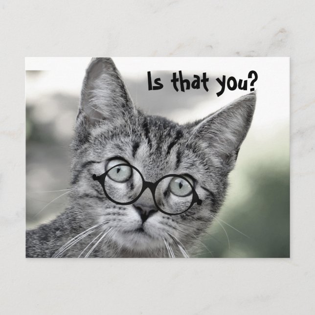 Tarjeta postal de gato lindo sorprendido con gafas (Anverso)