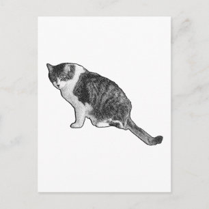Tarjeta postal de gato manga ofrece diversión gráf