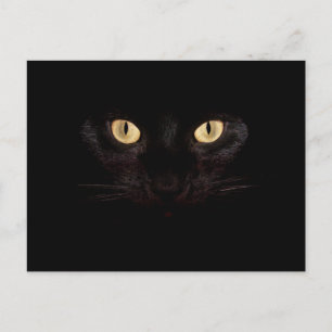 tarjeta postal de gato negro