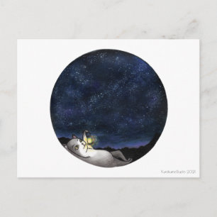 Tarjeta postal de gato observador de estrellas