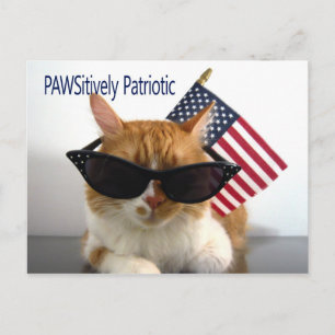 Tarjeta Postal de Gato Patriótico PAWSitivo