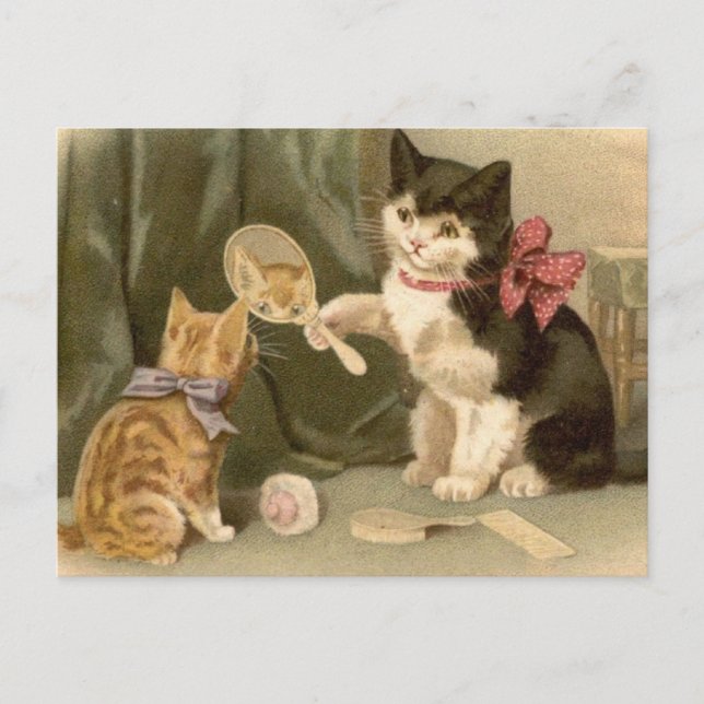 Tarjeta Postal de Gatos Antiguos (Anverso)