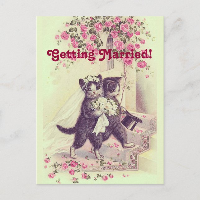 Tarjeta Postal de Gatos de Boda Vintage para Guard (Anverso)