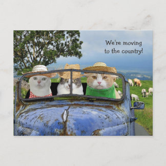 Tarjeta postal de gatos divertidos mudándose