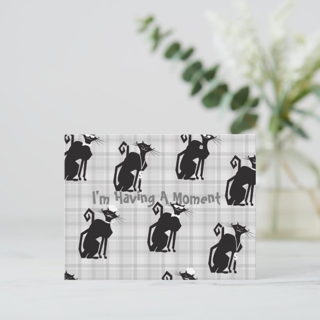 Tarjeta Postal de Gatos Profesionales (Anverso de pie)