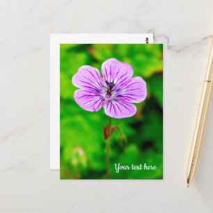 Tarjeta postal de geranio morado