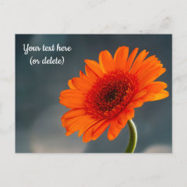 Tarjeta postal de Gerbera naranja