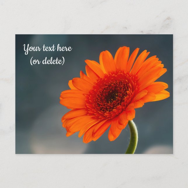 Tarjeta postal de gerbera naranja individual (Anverso)