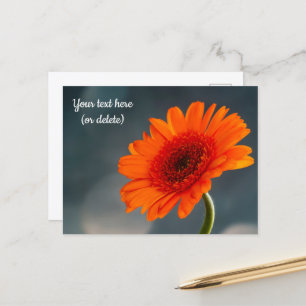 Tarjeta postal de gerbera naranja única