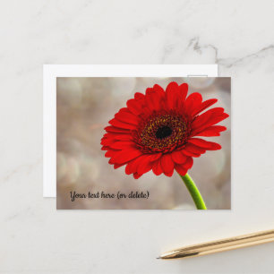 Tarjeta postal de gerbera roja
