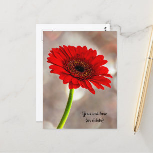 Tarjeta postal de gerbera roja individual