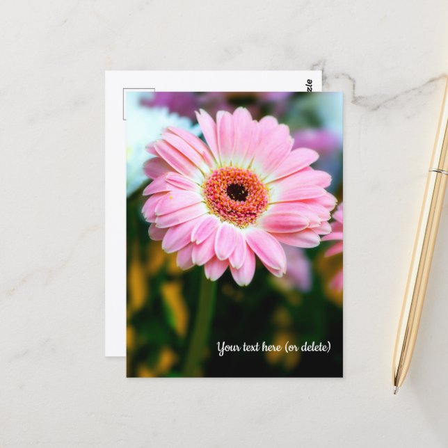 Tarjeta postal de gerbera rosa (Anverso/Reverso In Situ)