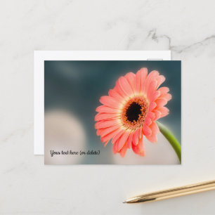 Tarjeta postal de gerbera rosa
