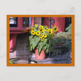 Tarjeta postal de girasol