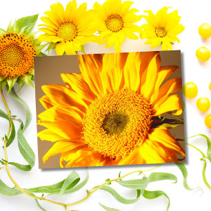 Tarjeta Postal de Girasol Amarillo