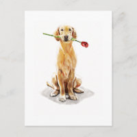 Tarjeta Postal de Golden Retriever – Arte de Acuar