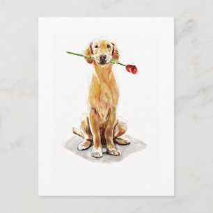 Tarjeta Postal de Golden Retriever – Arte de Acuar
