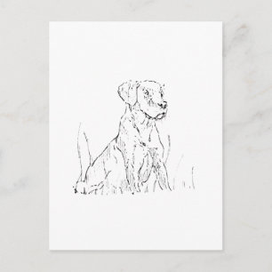 Tarjeta Postal de Golden Retriever - Ilustración d
