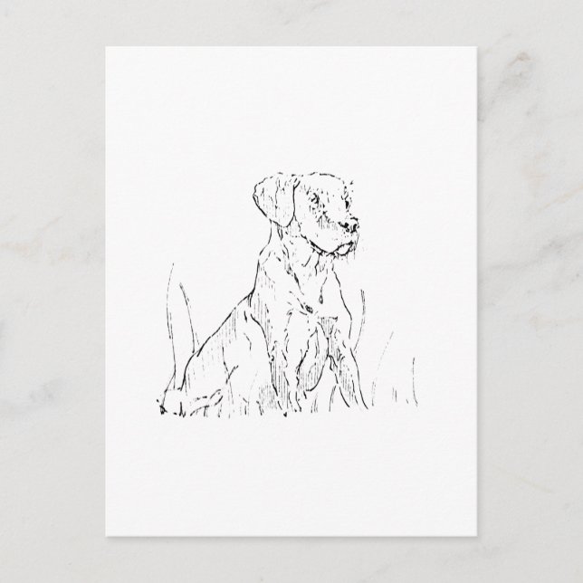 Tarjeta Postal de Golden Retriever - Ilustración d (Anverso)