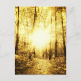 TARJETA POSTAL DE GOLDSUN2
