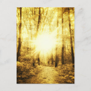TARJETA POSTAL DE GOLDSUN2