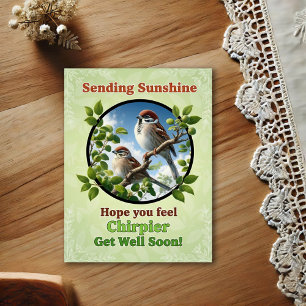Tarjeta postal de Gorrión Americano de árbol hermo