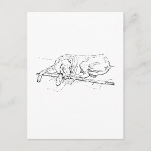 Tarjeta postal de Gran Danés, ilustración de perro