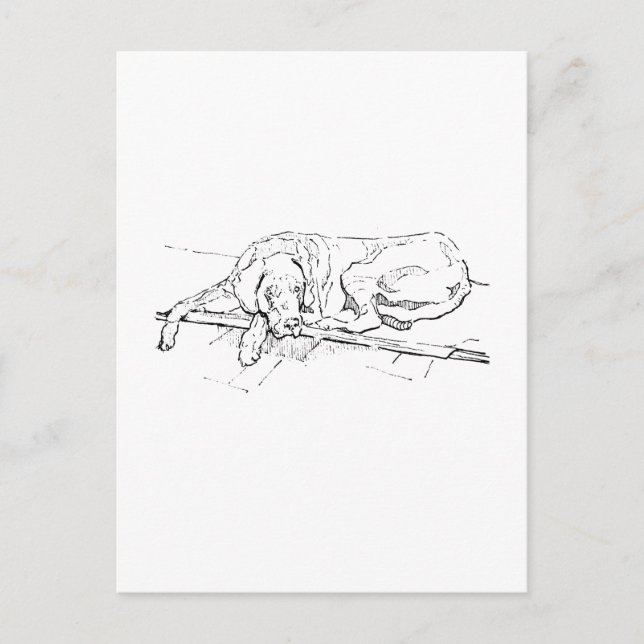 Tarjeta postal de Gran Danés, ilustración de perro (Anverso)