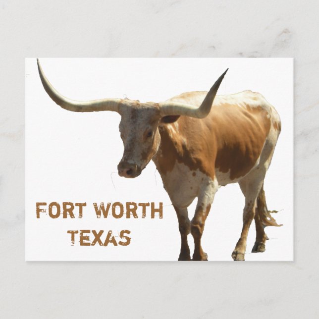 Tarjeta postal de Gran Valor de Longhorn (Anverso)