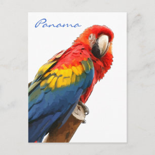 Tarjeta Postal de Guacamayo Escarlata Panamá