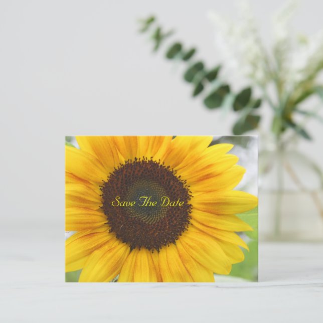 Tarjeta Postal de Guardado de Fecha de Girasol (Anverso de pie)
