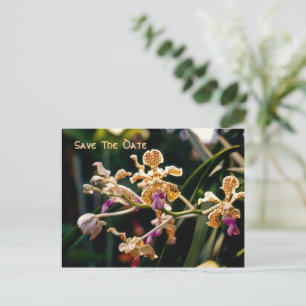 Tarjeta postal de guardar la fecha de orquídea sal