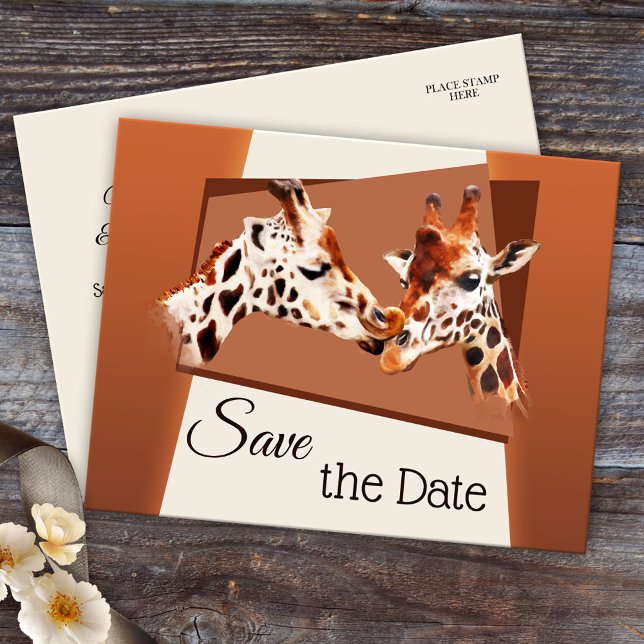 Tarjeta postal de guardar la fecha del safari de j (Cute and romantic zoo or safari Save the Date postcard with a painting of giraffes in love)