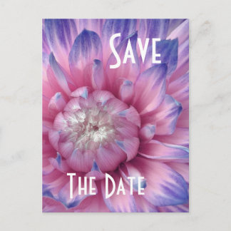 Tarjeta Postal de Guardar la Fecha PINK & PURPLE D