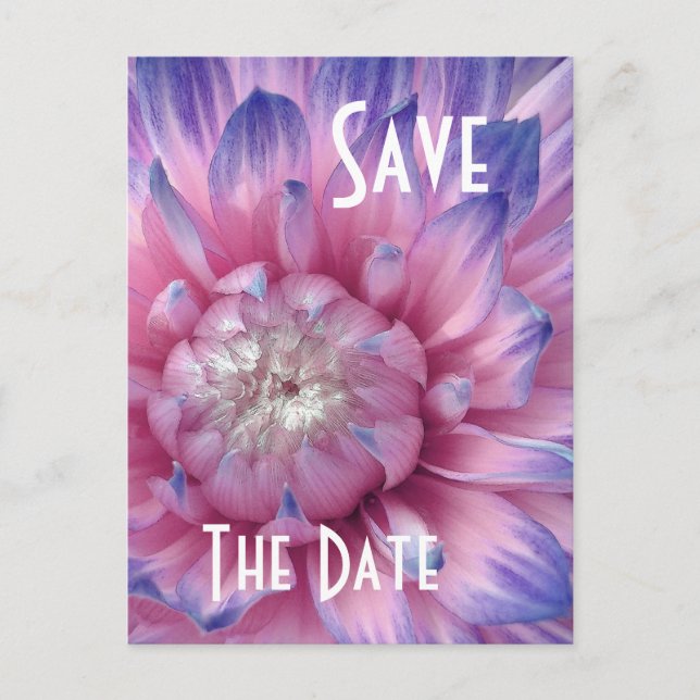 Tarjeta Postal de Guardar la Fecha PINK & PURPLE D (Anverso)