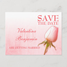 Tarjeta Postal de Guardar la Fecha Rosa Rosa Capul