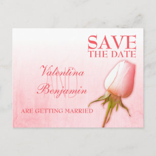 Tarjeta Postal de Guardar la Fecha Rosa Rosa Capul