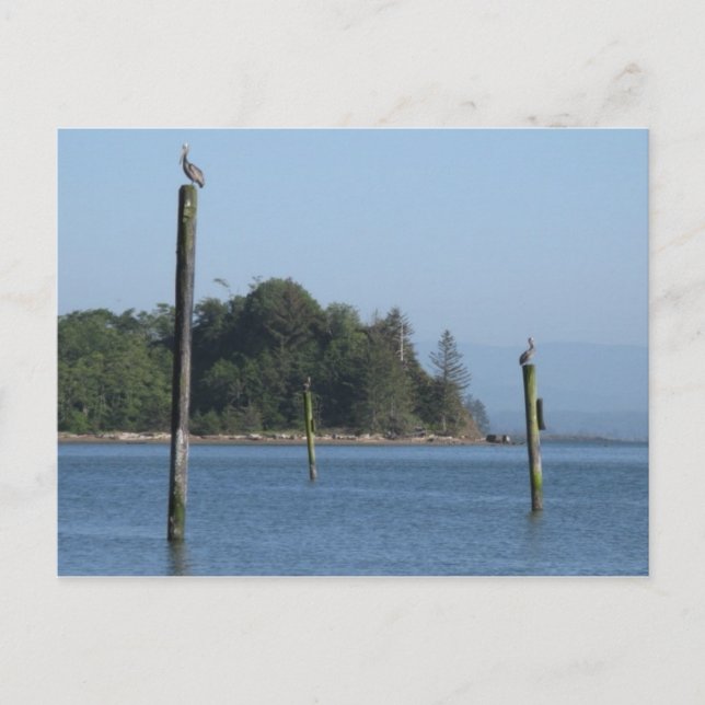 Tarjeta postal de guardia (Anverso)