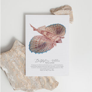 Tarjeta postal de Gurnard Volador