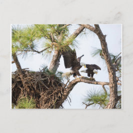 Tarjeta postal de H & M