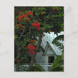 Tarjeta postal de habitación KeyWest Tin