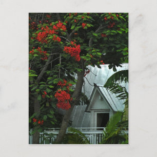 Tarjeta postal de habitación KeyWest Tin