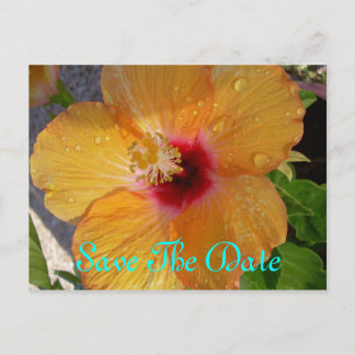 Tarjeta Postal de Hibisco para Guardar la Fecha