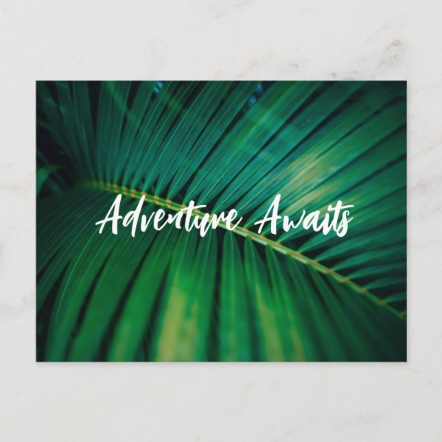 Tarjeta postal de hoja de palma (Anverso)