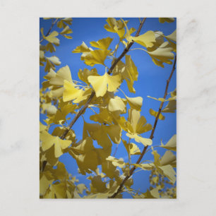 Tarjeta postal de hojas de otoño